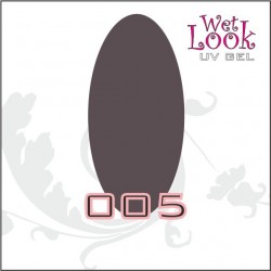 Gel Color Wet Look 5g #005